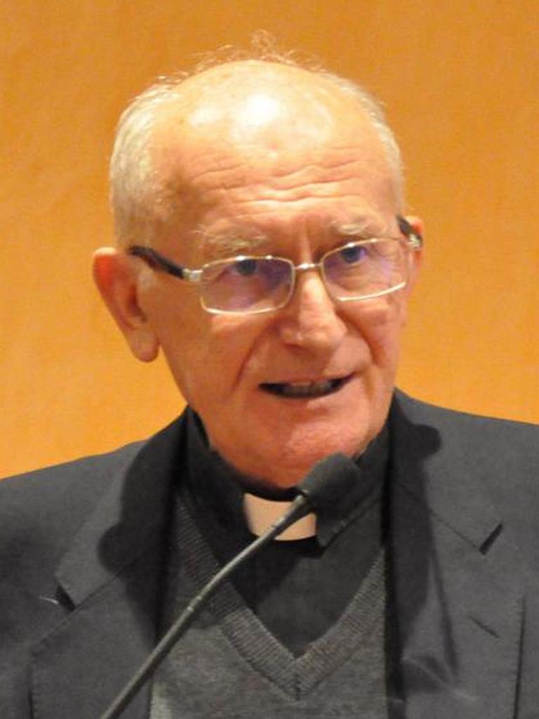 Prof. dr. sc. Karlo Višaticki